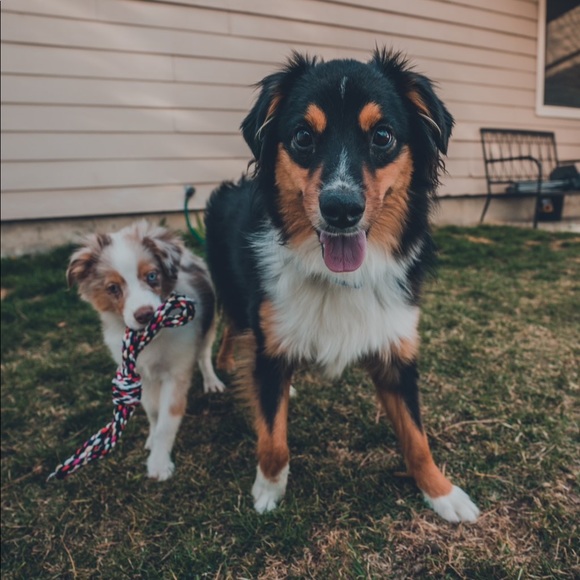 Meet your Posher, Brenna - Picture 2 of 12